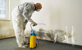 Best Attic Mold Removal  in Wenonah, NJ