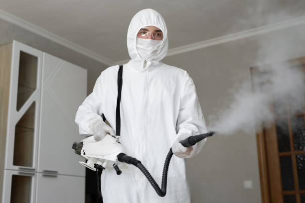 Mold Removal for HVAC Installations in Wenonah, NJ